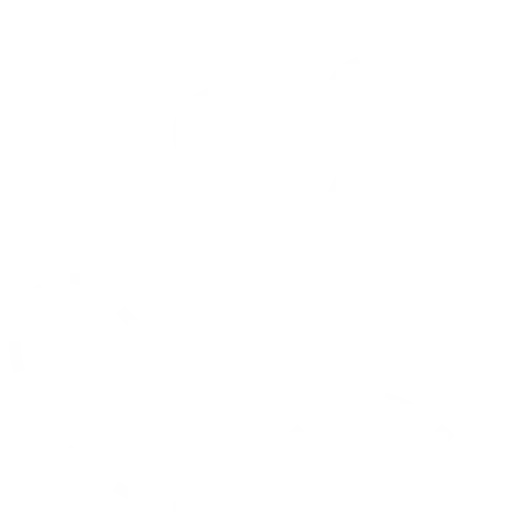 Lixum-Biene transparent