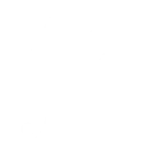 Lixum-Pinsel transparent