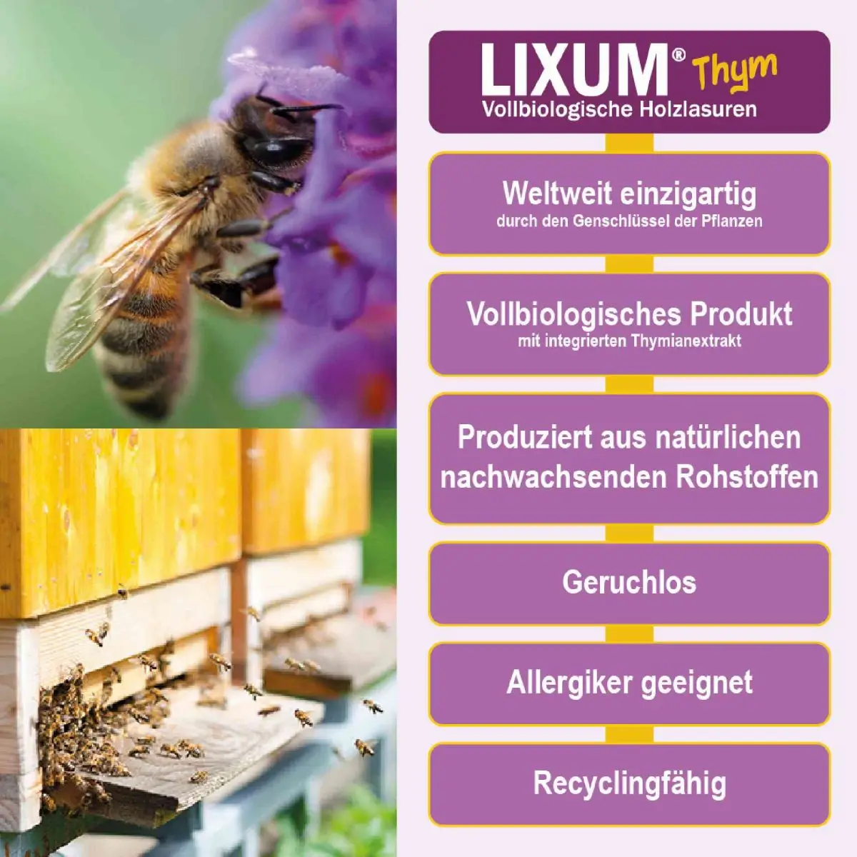 Lixum Thym - Vollbiologisches Holzlasuren für Menschen, Bienen und Umwelt