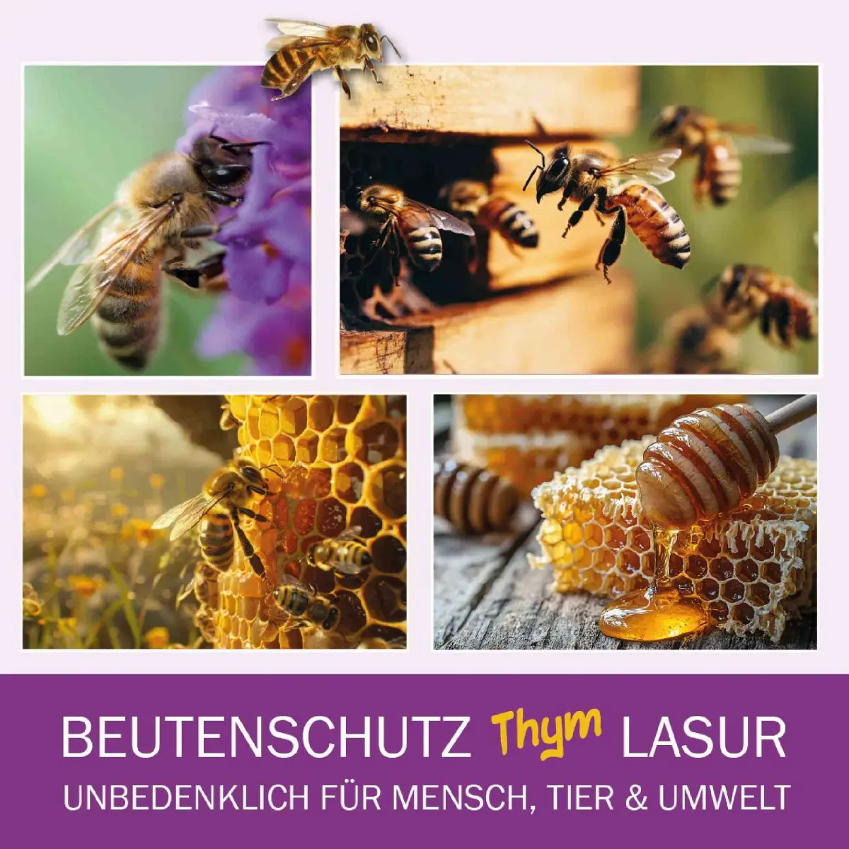 Lixum Beutenschutz Thym Lasur für Mensch, Bienen und Umwelt