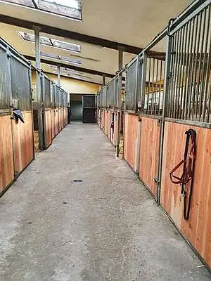 Lixum - Pferdestall Gang