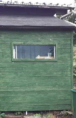Lixum - Gartenschuppen von der Seite mit Fenster