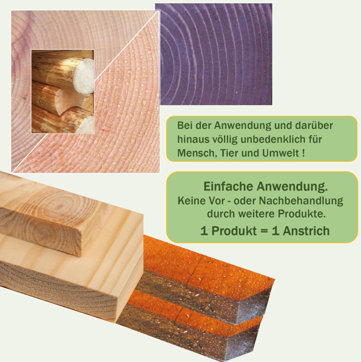 Lixum-Hirnholzschutz-S2