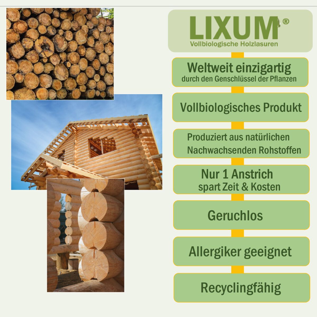Lixum-Hirnholzschutz-S4
