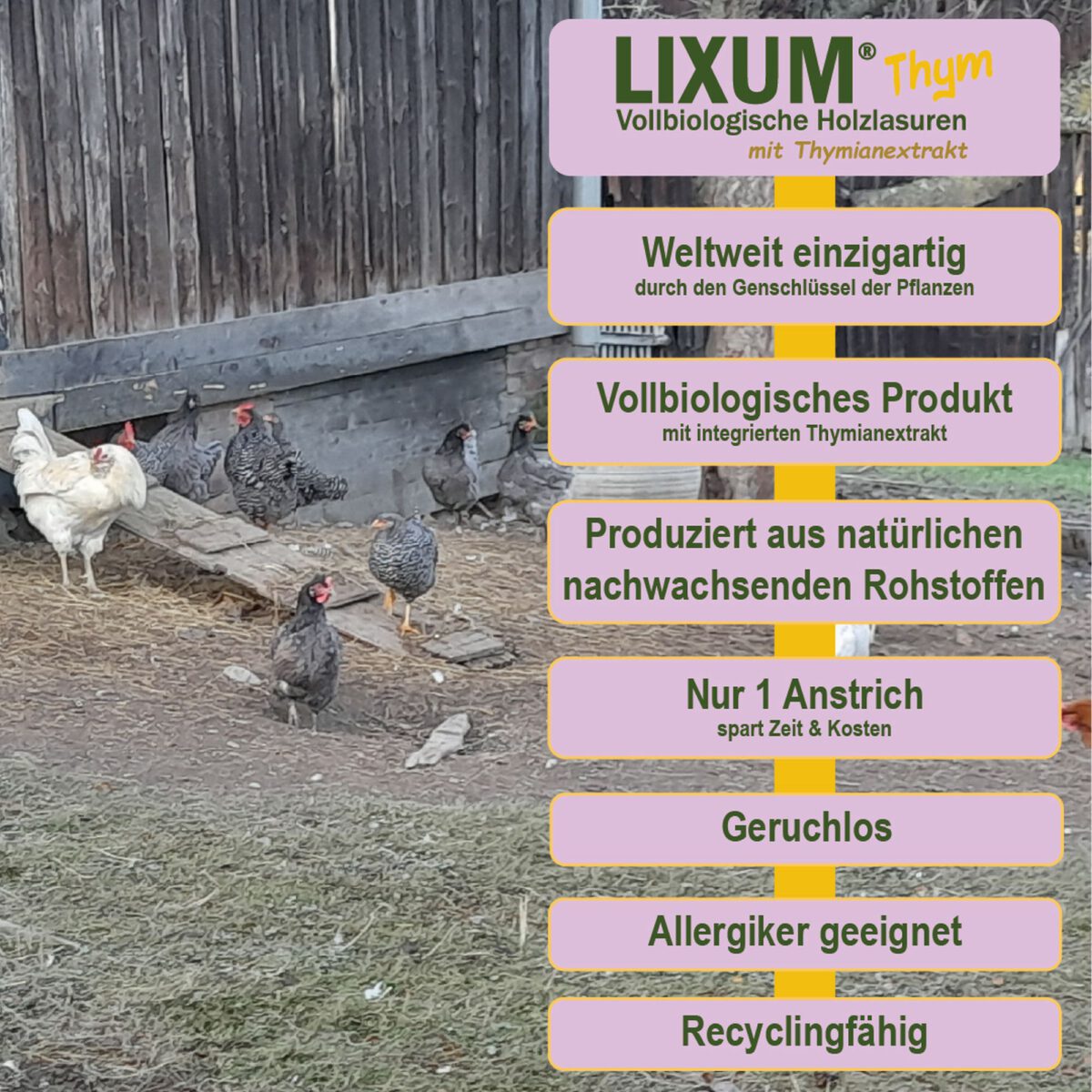 Lixum-Kleintierstall-Thym-S3