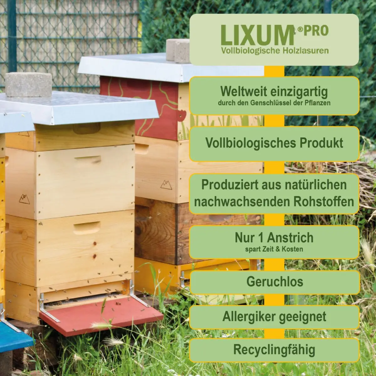 Lixum-Pro-Beutenschutz-S3