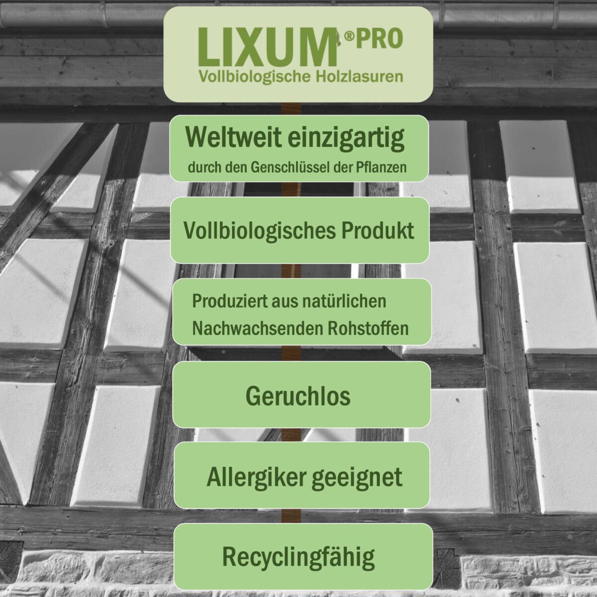Lixum-Pro-Fachwerk-S3
