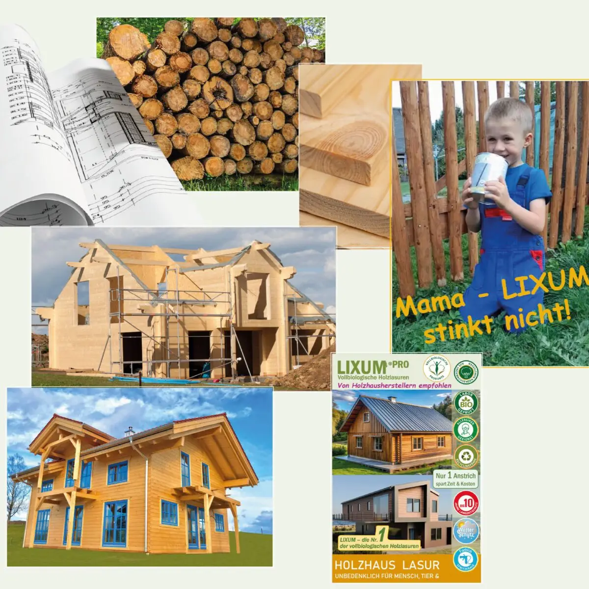 Lixum-Pro-Holzhaus-S2-100