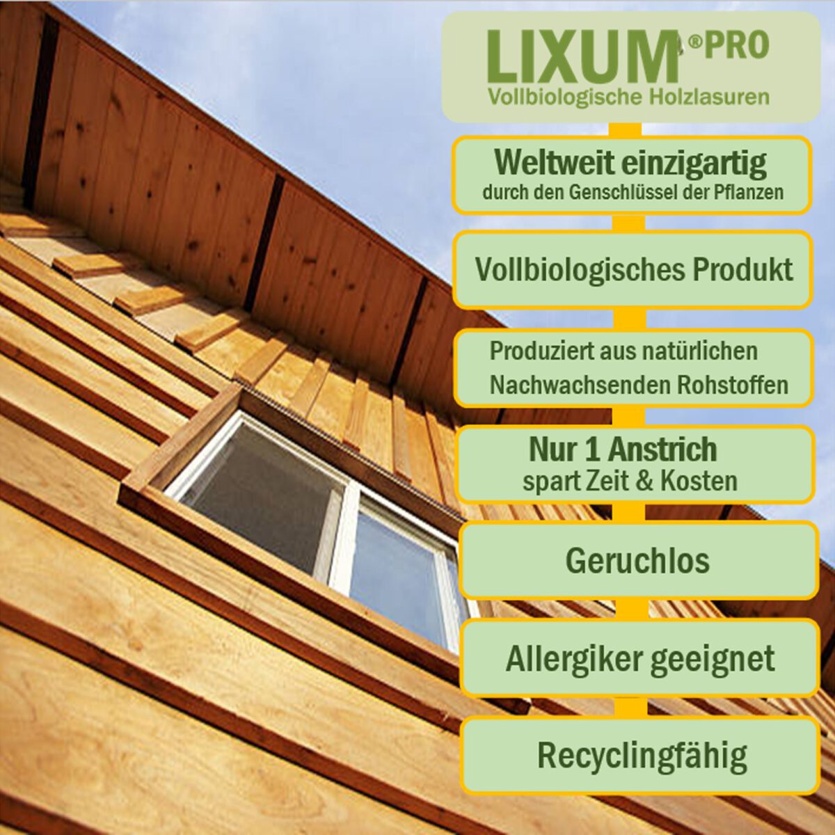 Lixum-Pro-Holzhaus-S4