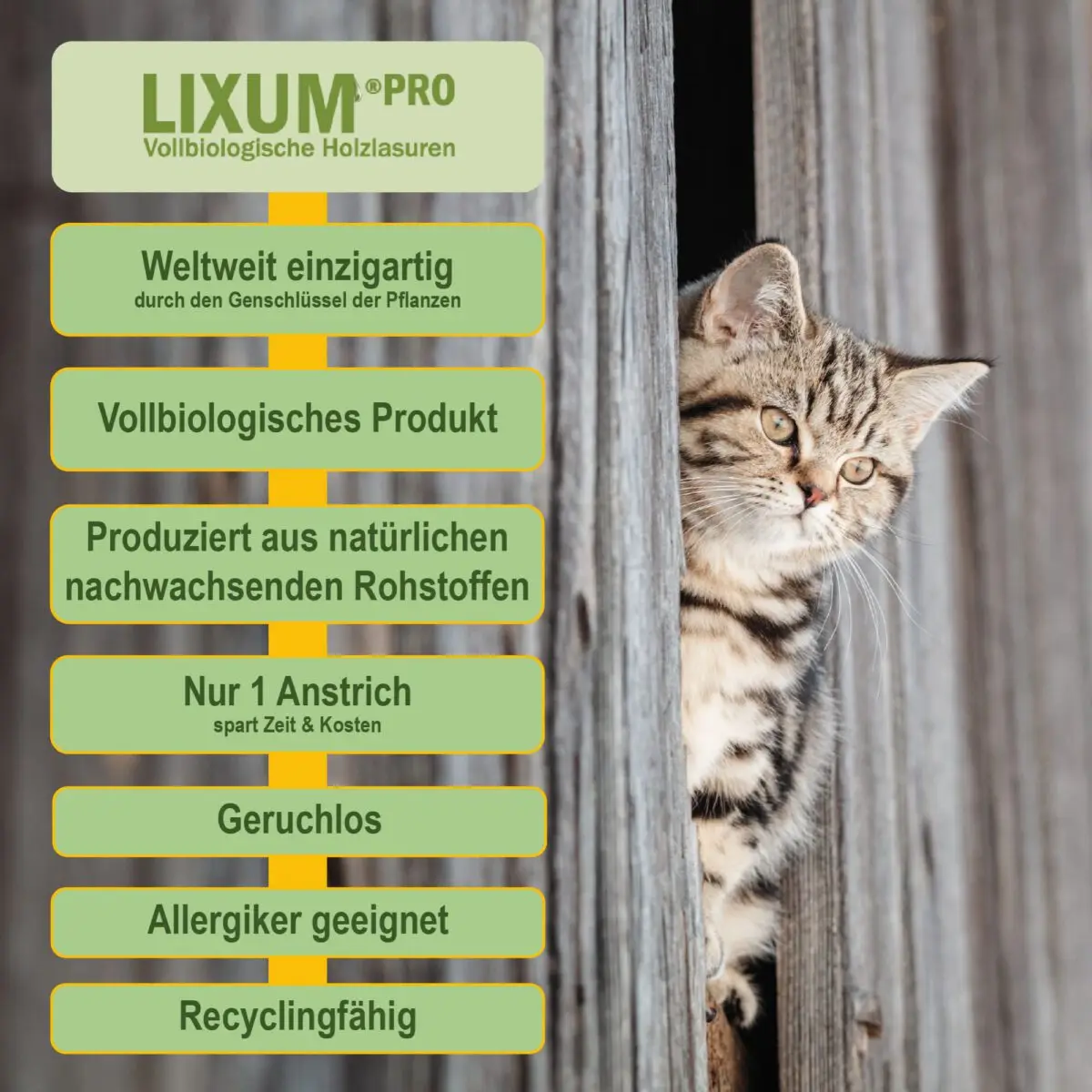 Lixum-Pro-Kleintierstall-S3