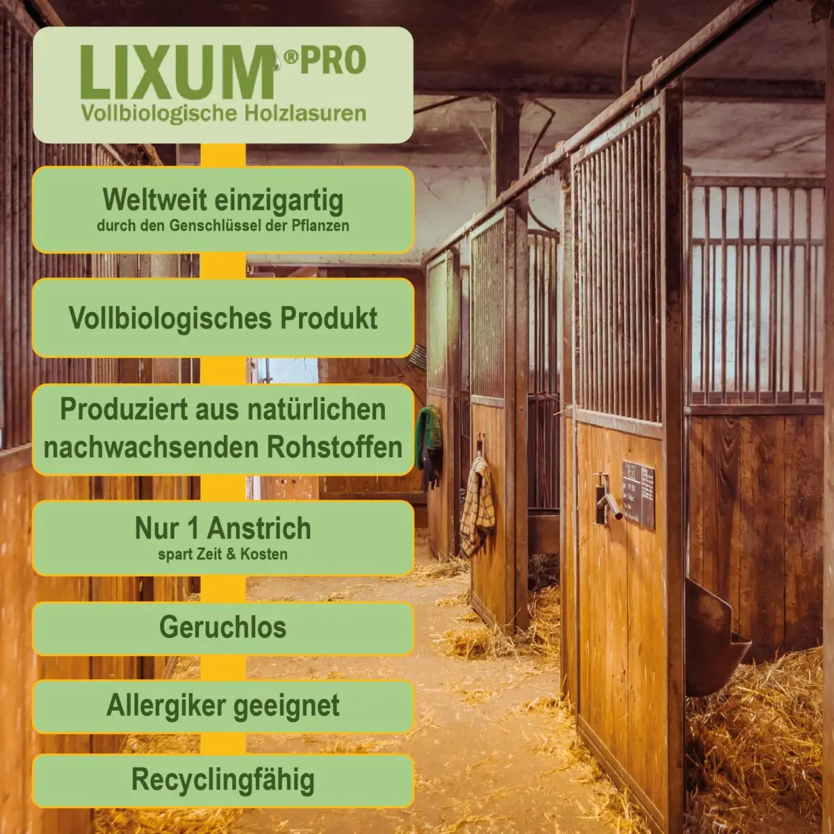 Lixum-Pro-Pferdestall-S3-100