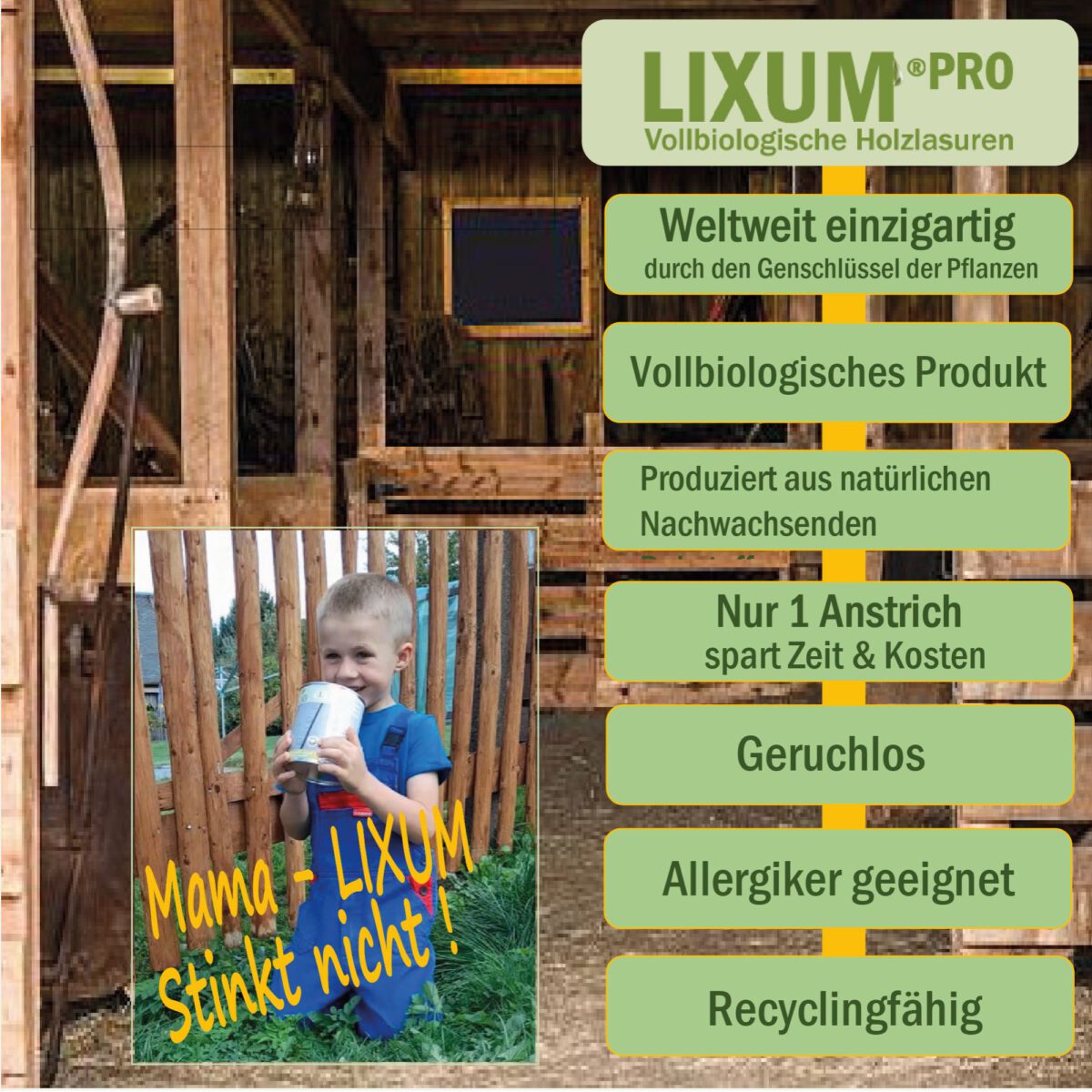 Lixum-Pro-Stall-Lasur-S3