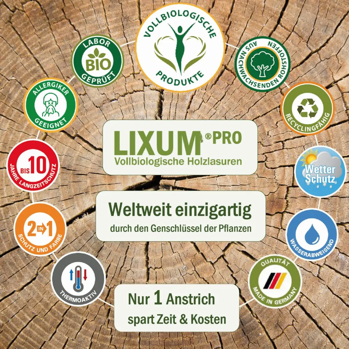 Lixum-Terrasse-S5
