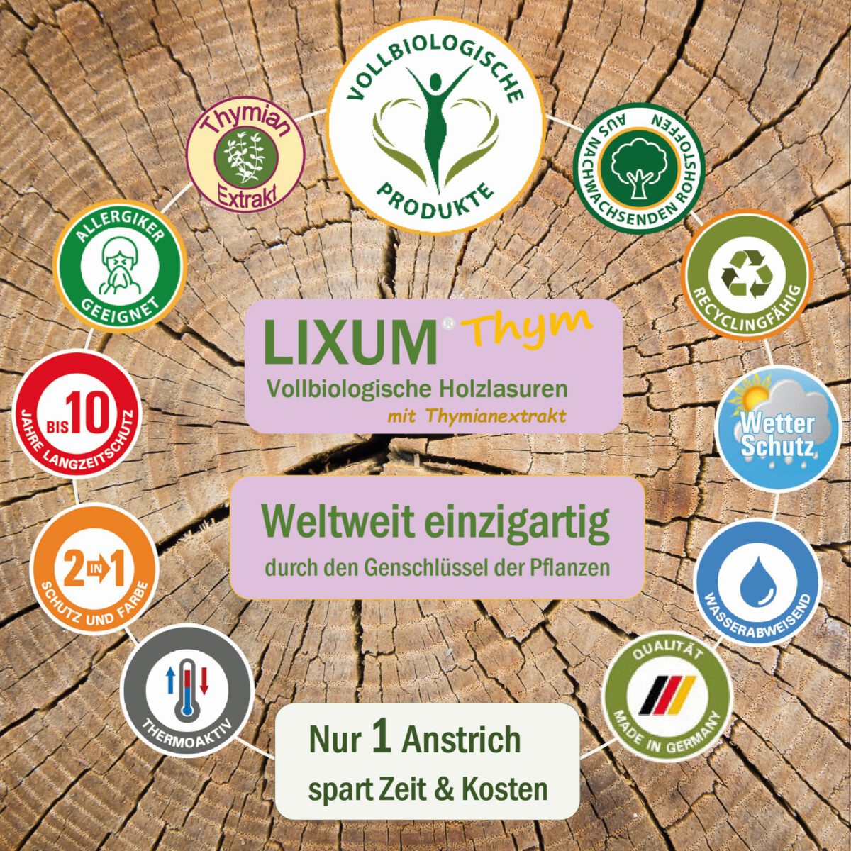 Lixum-Thym-Kleintier-S6