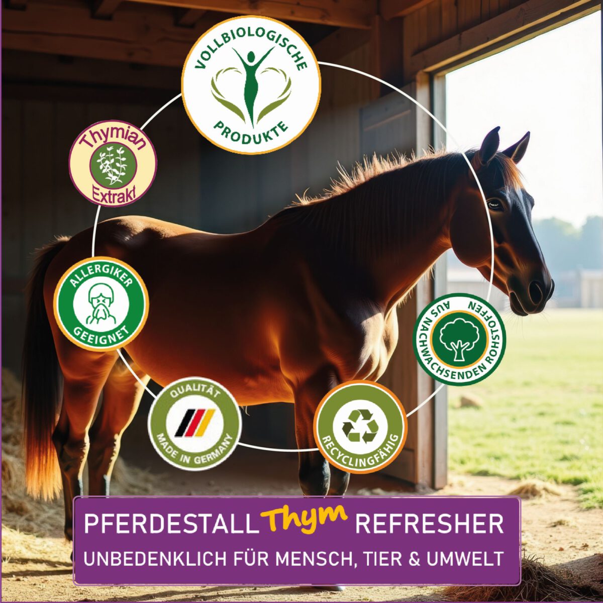 Lixum-Thym-Refresher-S3