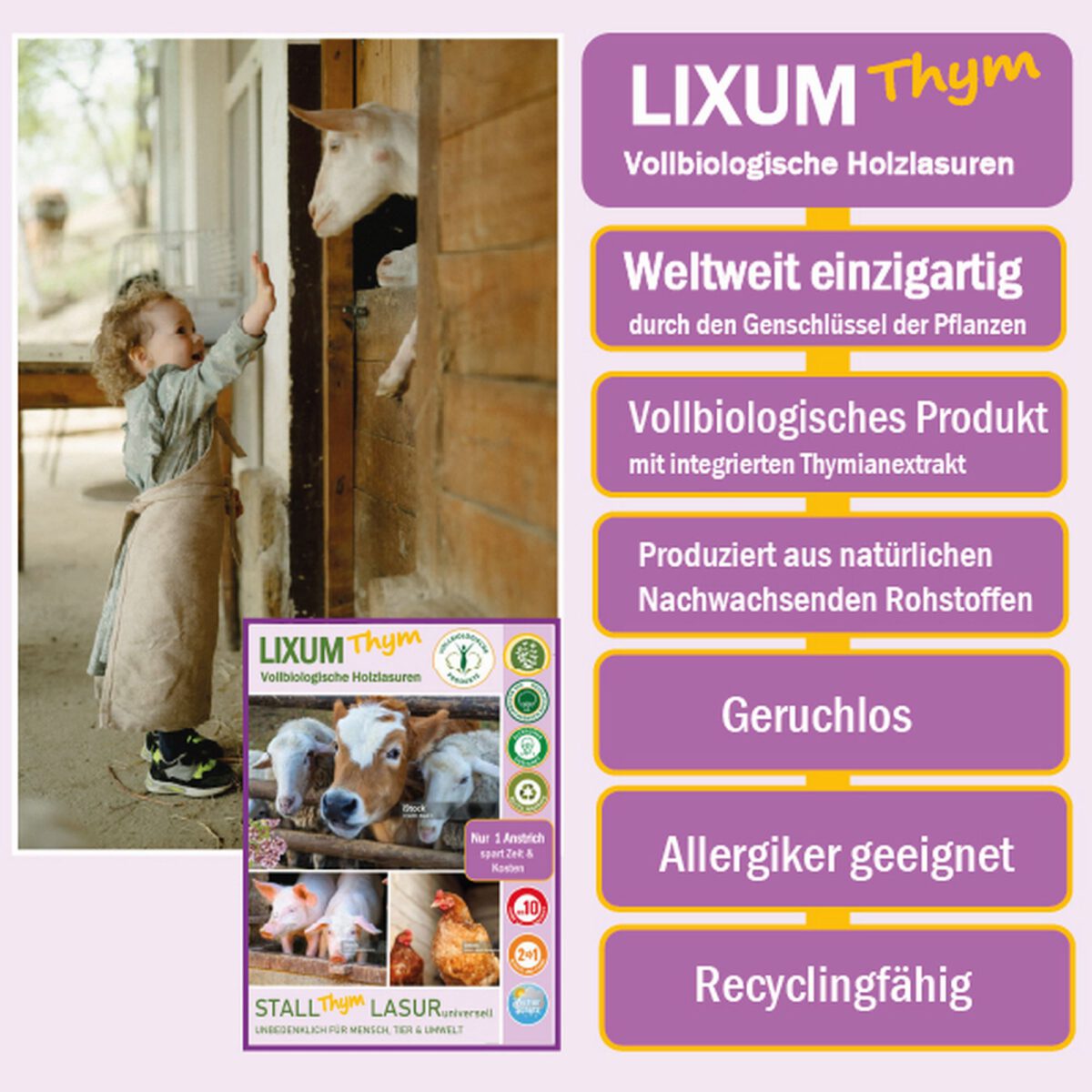 Lixum-Thym-Stall-S4