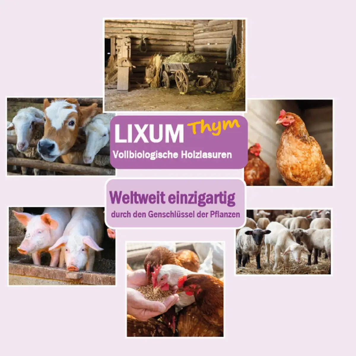 Lixum-Thym-Stall-S5