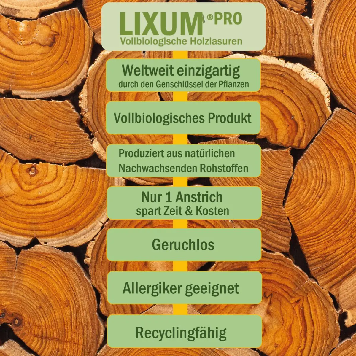 Lixum-Tropenholzschutz-S3