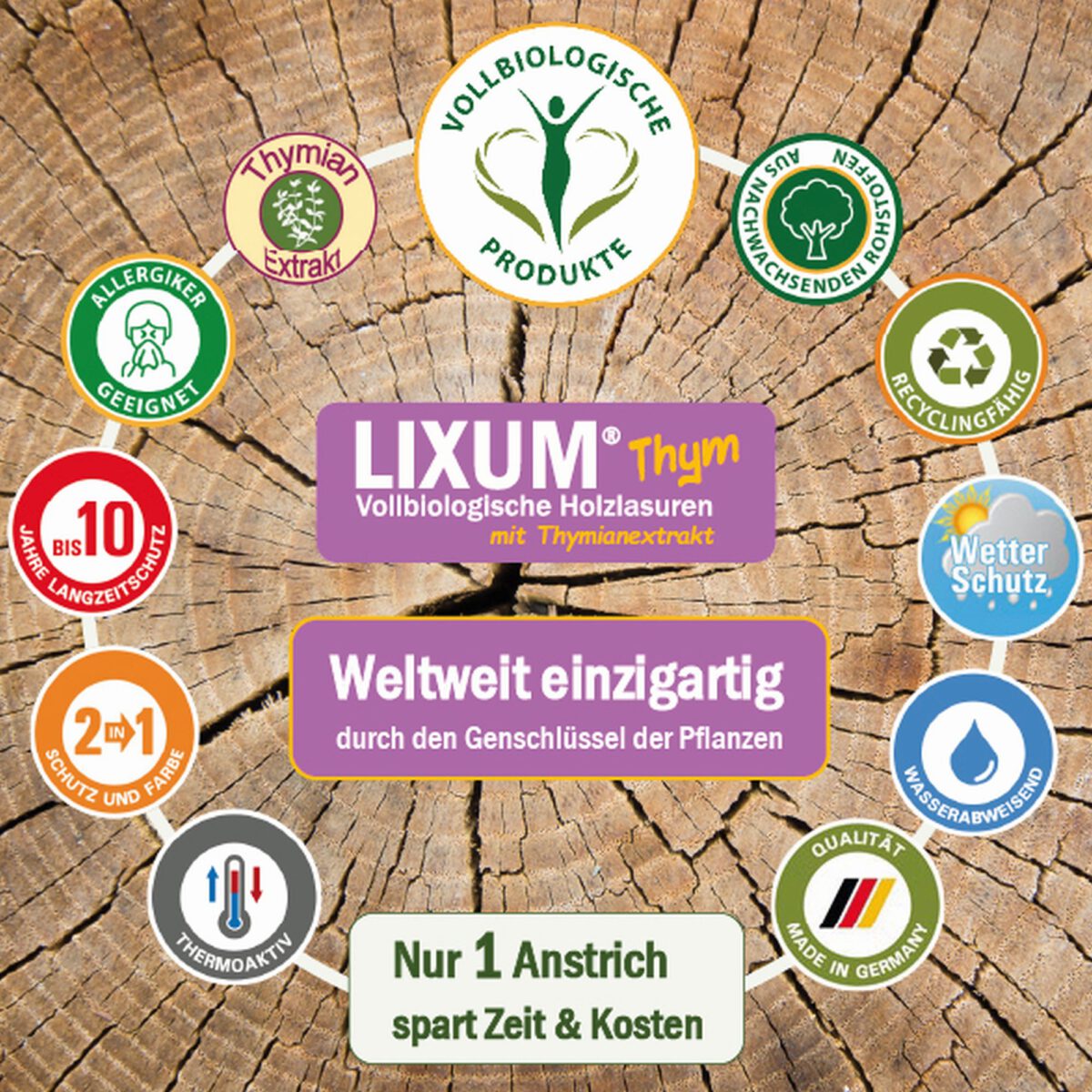 Lixum-Tym-Pferdestall-S5