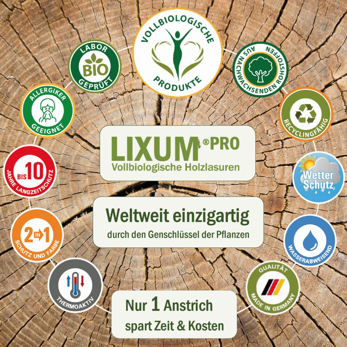 Lixum-Weichholz-S4-6